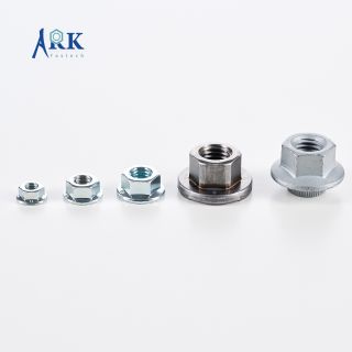 Hex Flange Nut-5335